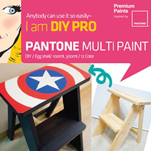 [PANTONE]★Premium Paints 12Color★EGG SHELL/DIY/300ml/100ml/State-certified Paint/World color experts